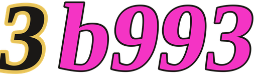 3b993 logo